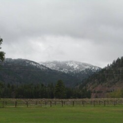 Spring Coming To Montana